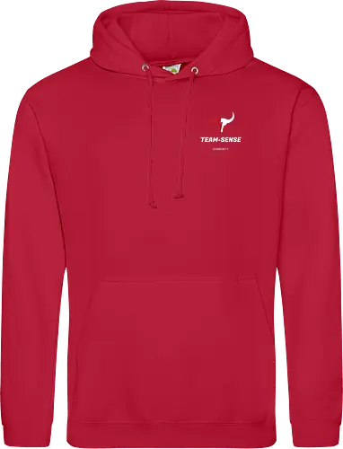 Team-Sense