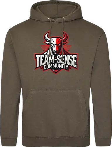 Team-Sense