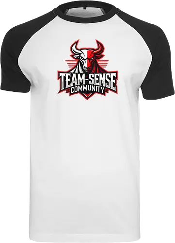 Team-Sense