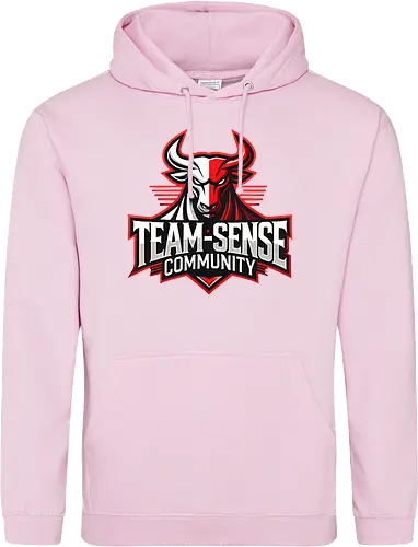 Team-Sense
