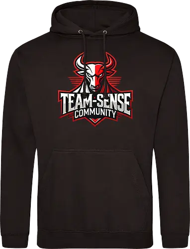 Team-Sense