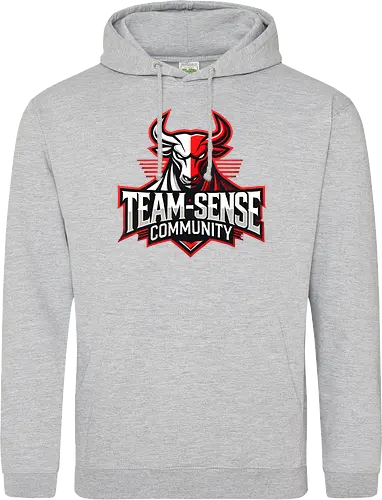 Team-Sense