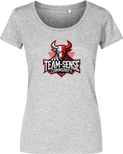 Team-Sense