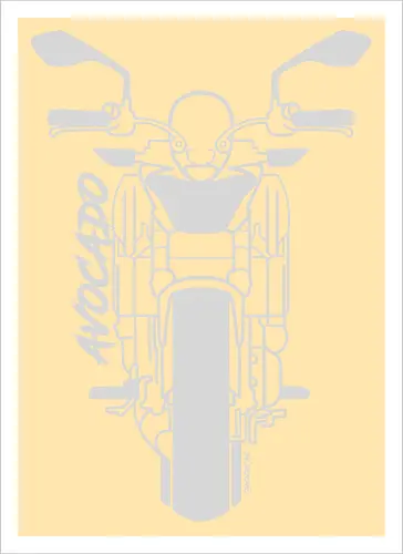 Kawasaki Z650, 2018,  weiß