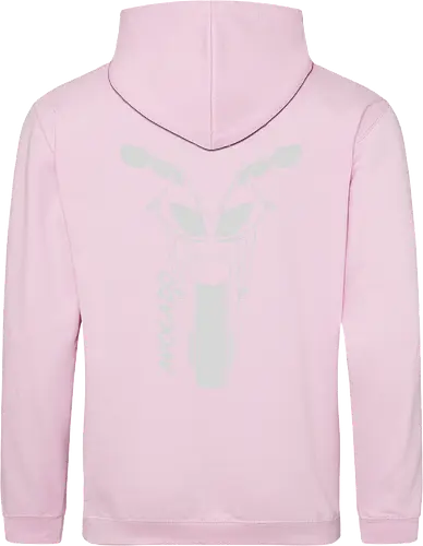 Kawasaki ZX10R, 2007,  weiß