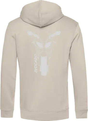 Kawasaki ZX10R, 2007,  weiß