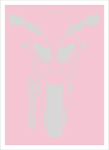 Kawasaki ZX10R, 2007,  weiß