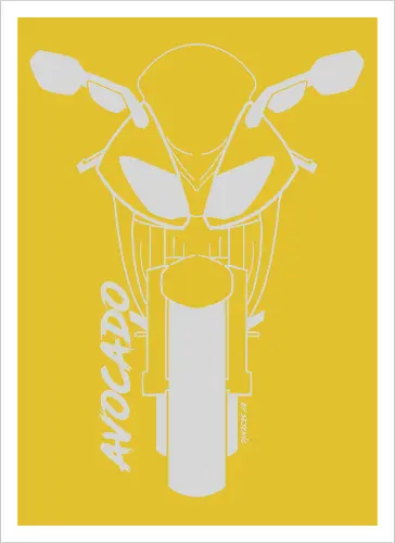 Kawasaki ZX10R, 2007,  weiß