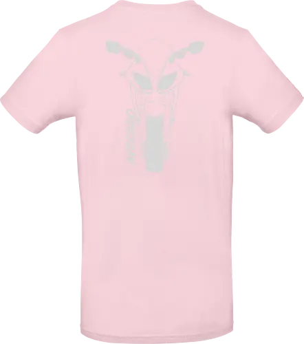 Kawasaki ZX10R, 2007,  weiß