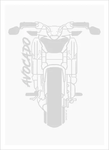 Kawasaki Z650, 2018, 2, cust, Weiß