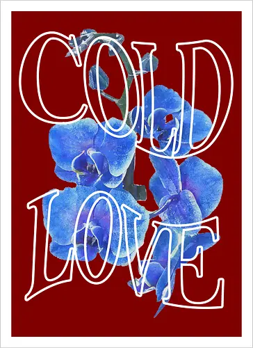 ColdLove