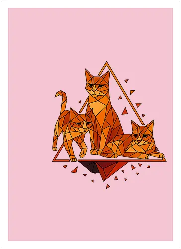 Polygon Cats