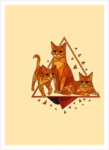 Polygon Cats