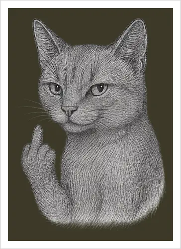 MiddleFingerCat