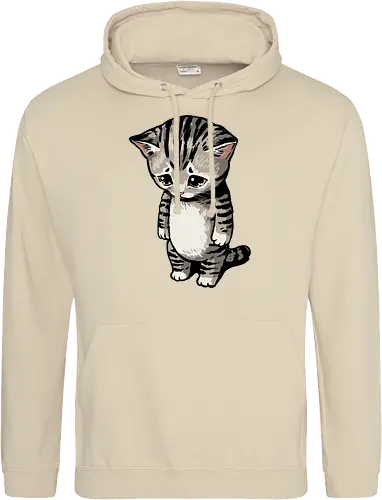 Sad Cat Meme