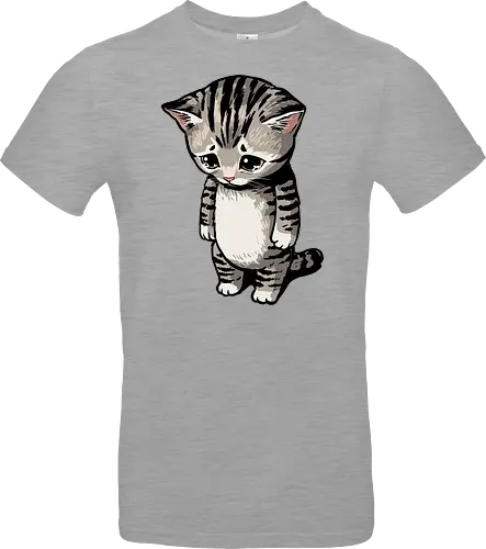 Sad Cat Meme