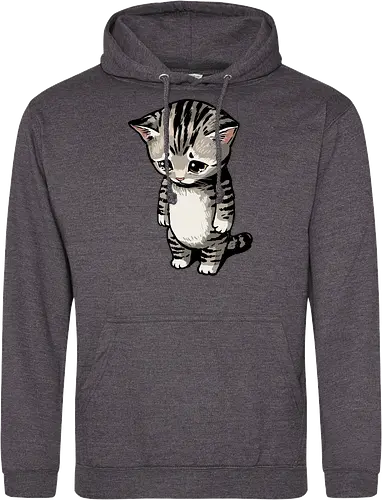 Sad Cat Meme