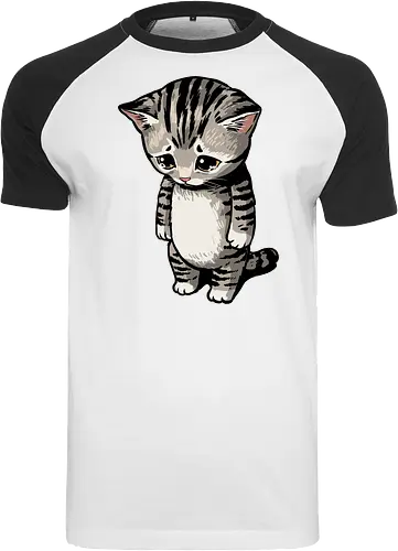 Sad Cat Meme