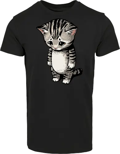 Sad Cat Meme