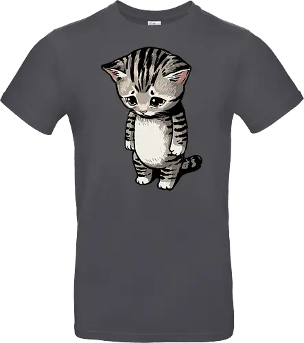 Sad Cat Meme