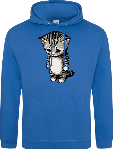 Sad Cat Meme
