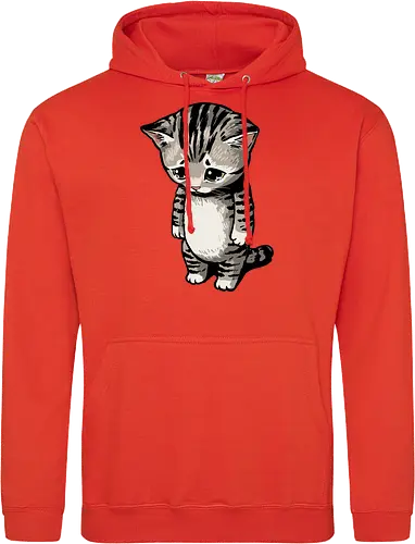 Sad Cat Meme
