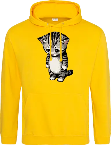 Sad Cat Meme