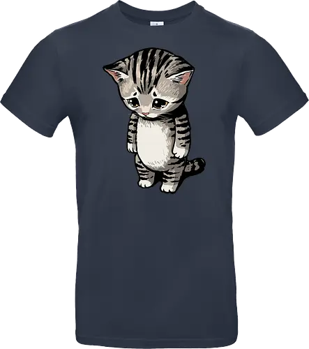 Sad Cat Meme