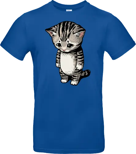 Sad Cat Meme