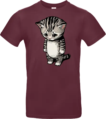 Sad Cat Meme