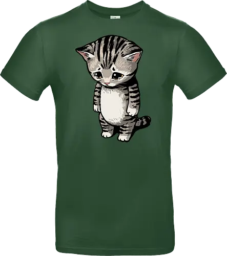 Sad Cat Meme