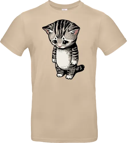 Sad Cat Meme