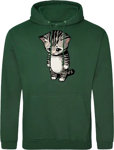 Sad Cat Meme