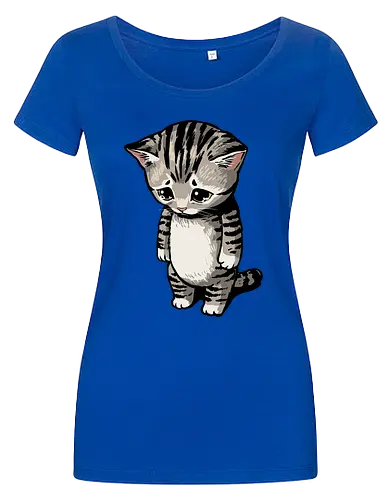 Sad Cat Meme