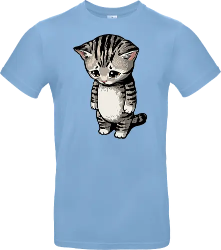 Sad Cat Meme