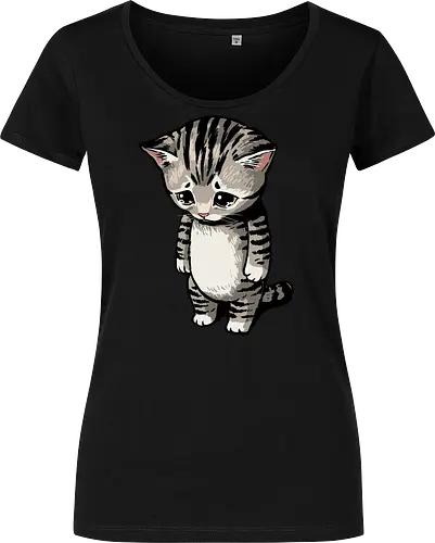 Sad Cat Meme
