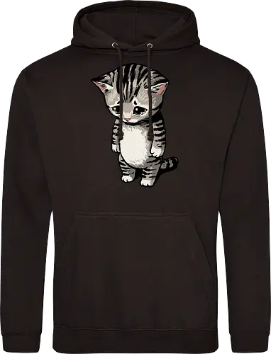 Sad Cat Meme