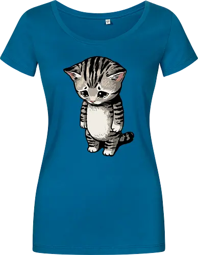 Sad Cat Meme