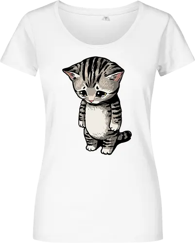 Sad Cat Meme