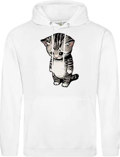 Sad Cat Meme
