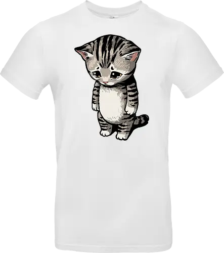 Sad Cat Meme