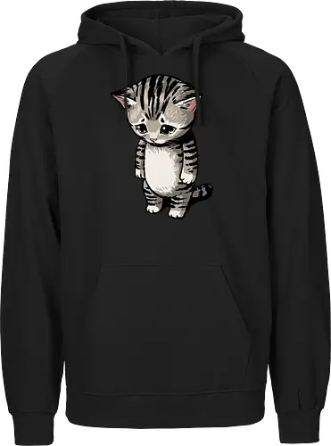 Sad Cat Meme