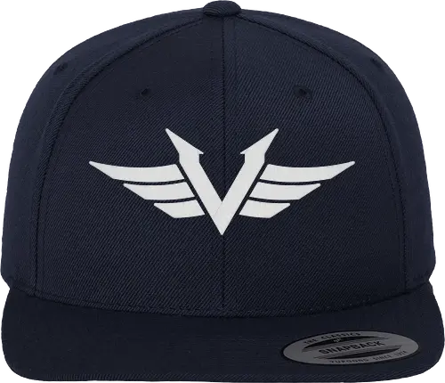 Vektik - Logo Cap