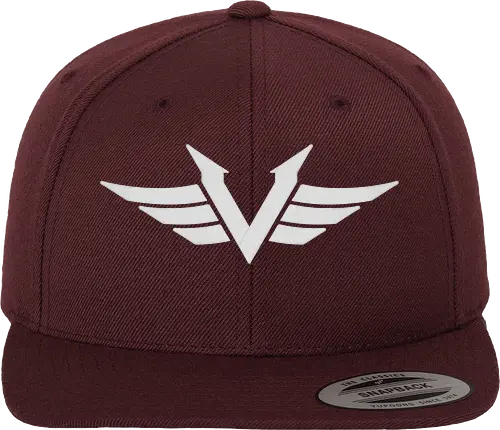 Vektik - Logo Cap