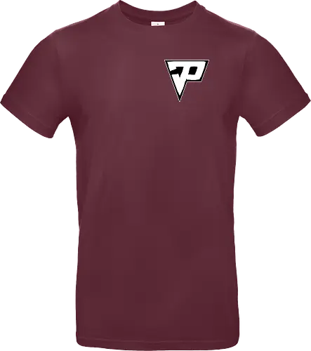 Pain - Destroyed Logo