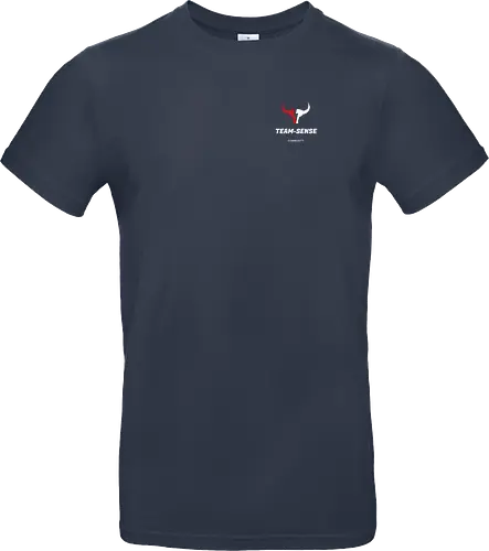 Team-Sense