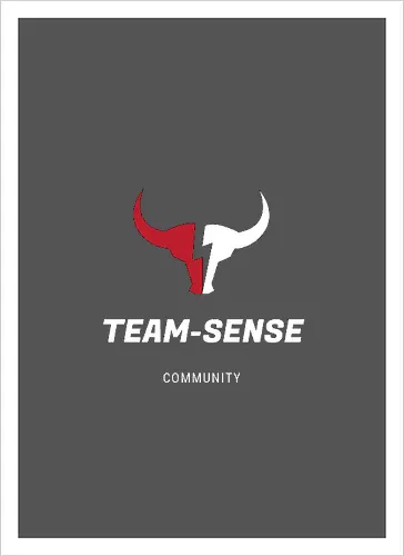 Team-Sense