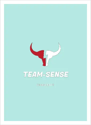 Team-Sense