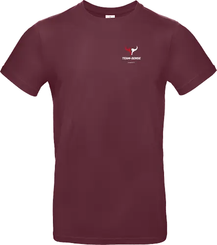 Team-Sense