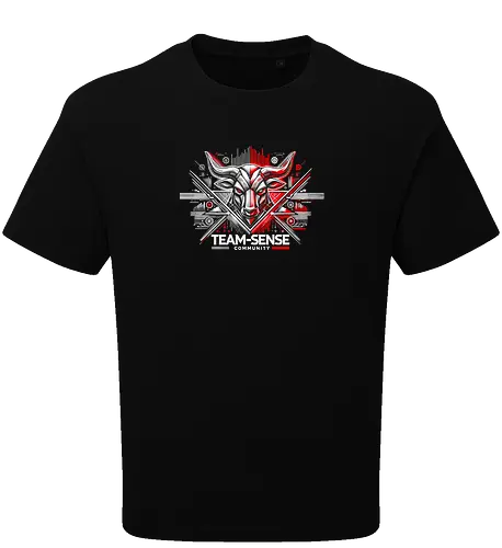 Team-Sense